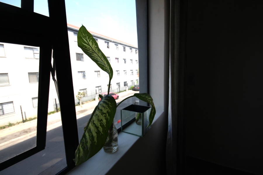 2 Bedroom Property for Sale in Belhar Western Cape